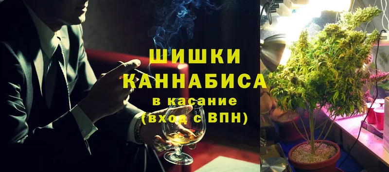 Каннабис SATIVA & INDICA  Гатчина 